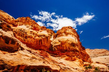 Hickman köprü iz, sermaye resif Milli Parkı, Utah, Amerika