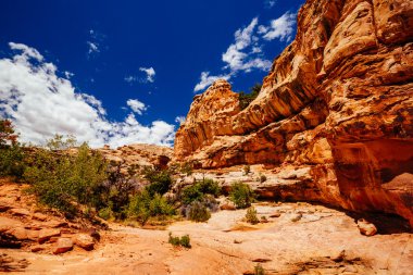 Hickman köprü iz, sermaye resif Milli Parkı, Utah, Amerika