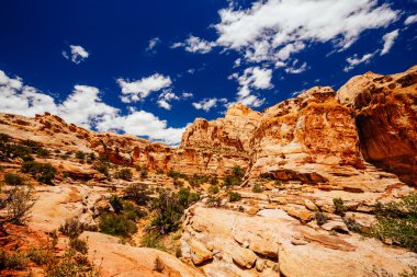 Hickman köprü iz, sermaye resif Milli Parkı, Utah, Amerika