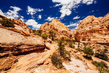 Hickman köprü iz, sermaye resif Milli Parkı, Utah, Amerika