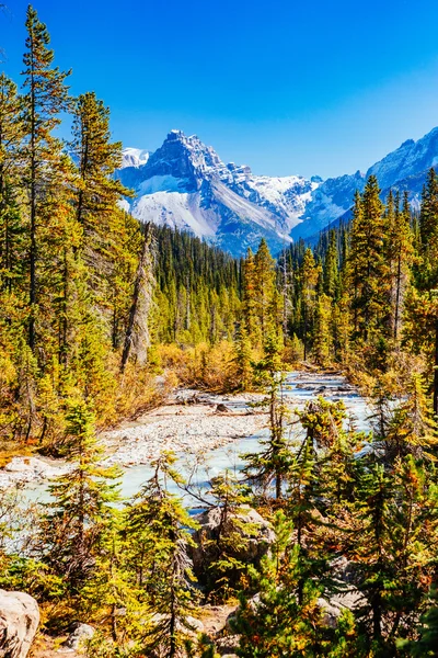 Takakkaw Şelaleleri, Yoho Ulusal Parkı, Alberta, Kanada