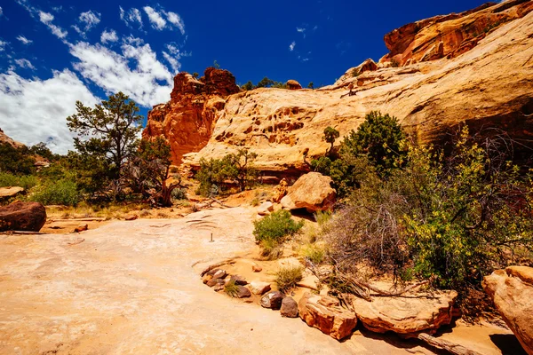 The Hickman Bridge Trail, Capital Reef National Park, Utah, EE.UU. — Foto de Stock