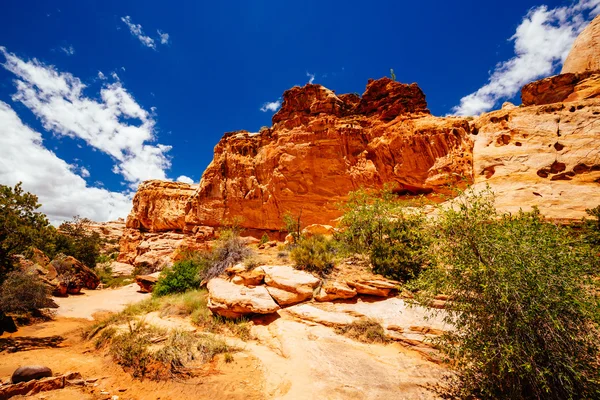 The Hickman Bridge Trail, Capital Reef National Park, Utah, EE.UU. — Foto de Stock