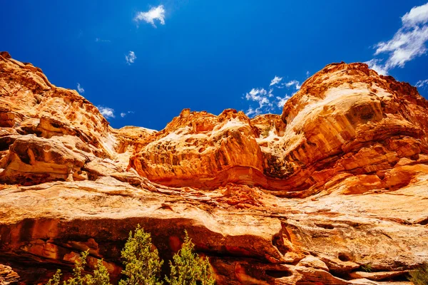 Hickman köprü iz, sermaye resif Milli Parkı, Utah, Amerika