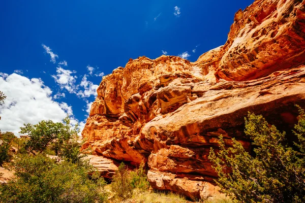 Hickman köprü iz, sermaye resif Milli Parkı, Utah, Amerika