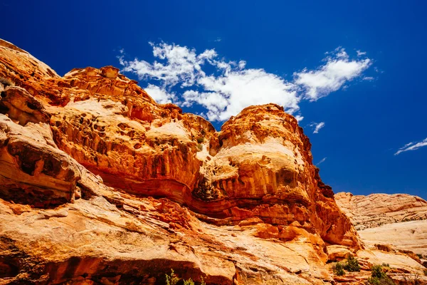 Hickman köprü iz, sermaye resif Milli Parkı, Utah, Amerika