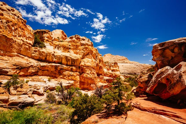 Hickman köprü iz, sermaye resif Milli Parkı, Utah, Amerika