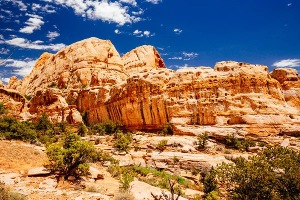 The Hickman Bridge Trail, Capital Reef National Park, Utah, EE.UU. — Foto de Stock