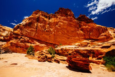 Hickman köprü iz, sermaye resif Milli Parkı, Utah, Amerika