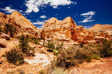 Hickman köprü iz, sermaye resif Milli Parkı, Utah, Amerika