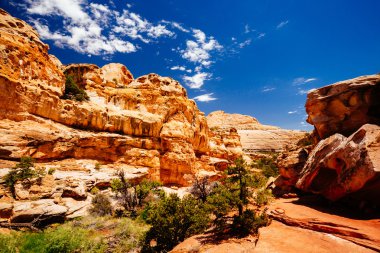 Hickman köprü iz, sermaye resif Milli Parkı, Utah, Amerika