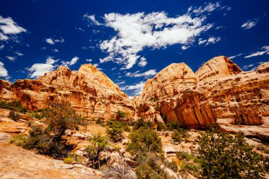 Hickman köprü iz, sermaye resif Milli Parkı, Utah, Amerika