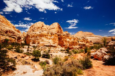 Hickman köprü iz, sermaye resif Milli Parkı, Utah, Amerika