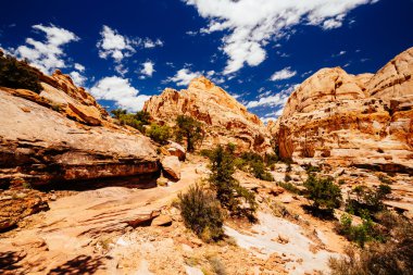 Hickman köprü iz, sermaye resif Milli Parkı, Utah, Amerika