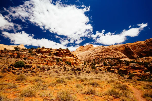 Szlaku most Hickman, Park Narodowy Capital Reef, Utah, Stany Zjednoczone Ameryki — Zdjęcie stockowe