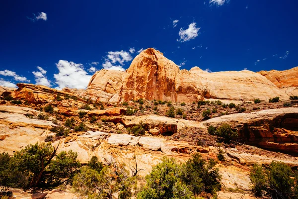 The Hickman Bridge Trail, Capital Reef National Park, Utah, USA — Stock Photo, Image