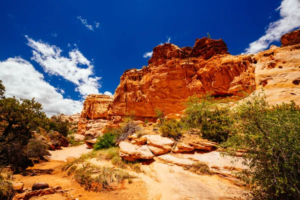 Szlaku most Hickman, Park Narodowy Capital Reef, Utah, Stany Zjednoczone Ameryki — Zdjęcie stockowe