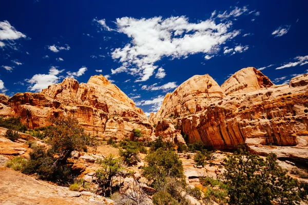 The Hickman Bridge Trail, Capital Reef National Park, Utah, EE.UU. — Foto de Stock