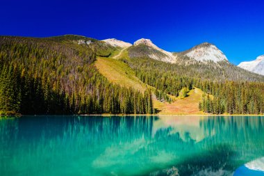 Emerald Lake, Yoho Ulusal Parkı, British Columbia, Kanada