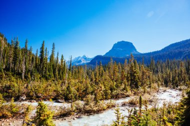 Takakkaw Şelaleleri, Yoho Ulusal Parkı, Alberta, Kanada