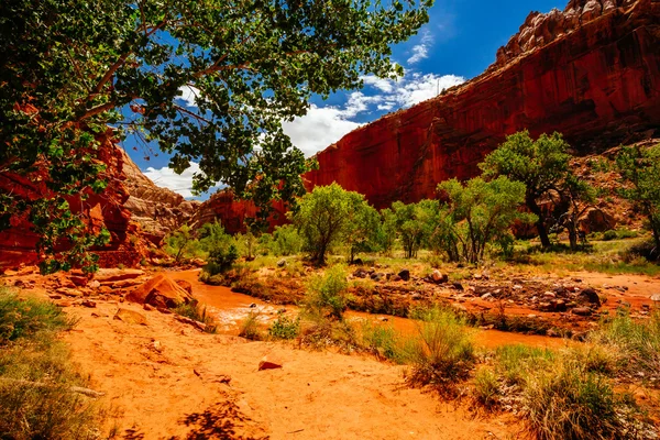 A Hickman híd Trail, tőke zátony Nemzeti Park, Utah, Amerikai Egyesült Államok — Stock Fotó