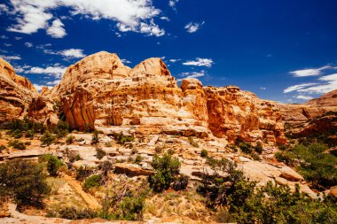 Hickman köprü iz, sermaye resif Milli Parkı, Utah, Amerika