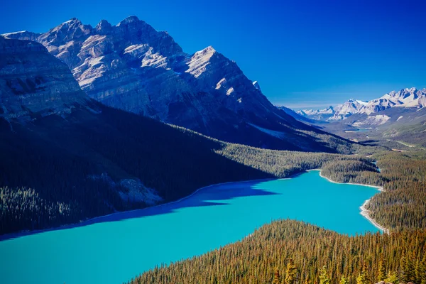 Peyto Lake, Parque Nacional Banff, Montanhas Rochosas, Alberta, Canad — Fotografia de Stock