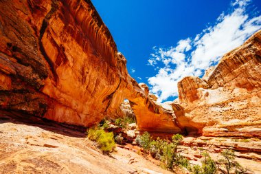 Doğal Arch, Hickman Köprüsü, Capitol resif Milli Parkı, Utah, 