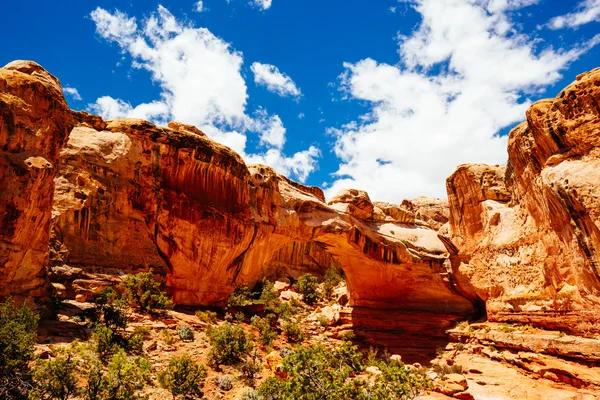 Arco Natural, Puente Hickman, Parque Nacional Capitol Reef, Utah , — Foto de Stock