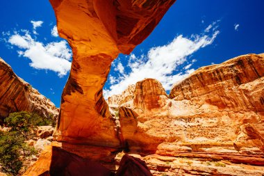 Doğal Arch, Hickman Köprüsü, Capitol resif Milli Parkı, Utah, 