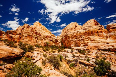 Hickman köprü iz, sermaye resif Milli Parkı, Utah, Amerika