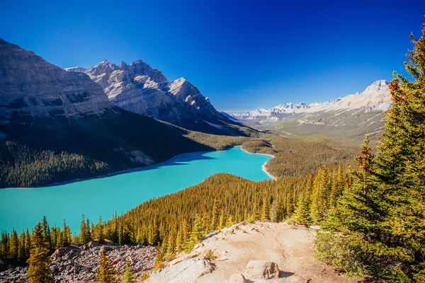 Peyto Lake, Banff National Park, klippiga bergen, Alberta, Canad — Stockfoto