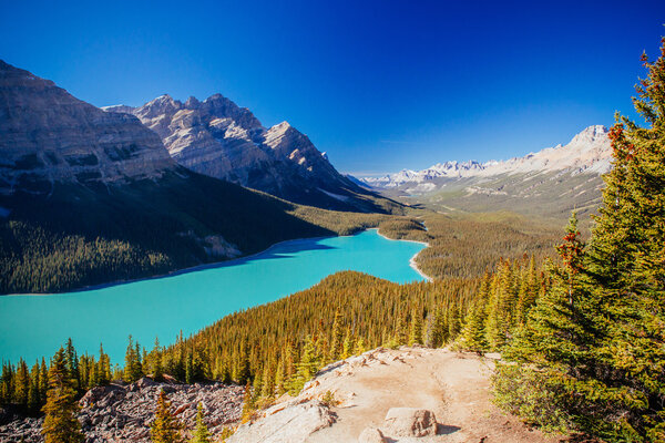 Peyto Lake, Banff National Park, Rocky Mountains, Alberta, Canad