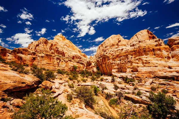 Hickman Bridge leden, kapital Reef National Park, Utah, Usa — Stockfoto