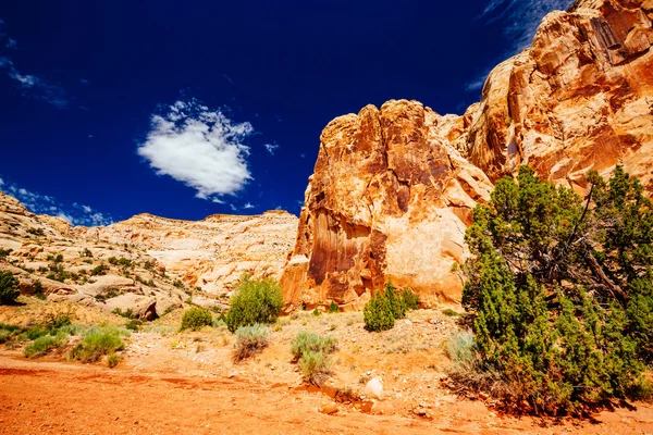 Grand Wash trail, Capital Reef National Park, Utah, EUA — Fotografia de Stock