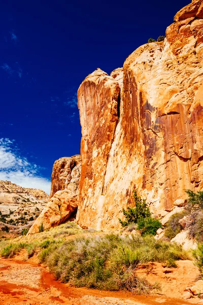 Grand mytí stezka, kapitál Reef národní Park, Utah, Usa — Stock fotografie