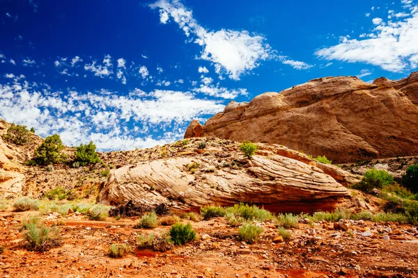 Grand mytí stezka, kapitál Reef národní Park, Utah, Usa — Stock fotografie