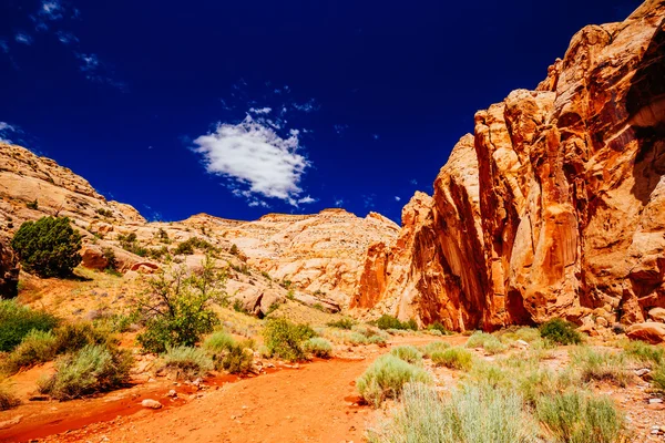 Grand mytí stezka, kapitál Reef národní Park, Utah, Usa — Stock fotografie