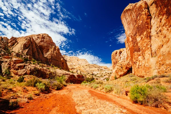 Grand mytí stezka, kapitál Reef národní Park, Utah, Usa — Stock fotografie