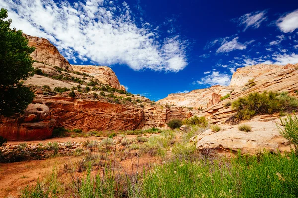 Grand Wash trail, Capital Reef National Park, Utah, EE.UU. — Foto de Stock