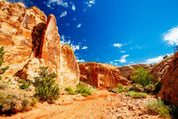 Grand yıkama iz, sermaye resif Milli Parkı, Utah, Amerika