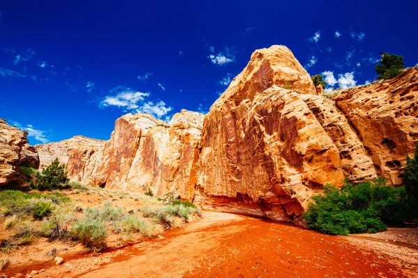 Grand mytí stezka, kapitál Reef národní Park, Utah, Usa — Stock fotografie