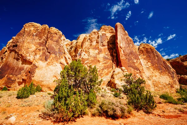 Grand mytí stezka, kapitál Reef národní Park, Utah, Usa — Stock fotografie