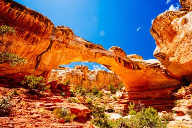 Doğal Arch, Hickman Köprüsü, Capitol resif Milli Parkı, Utah, 