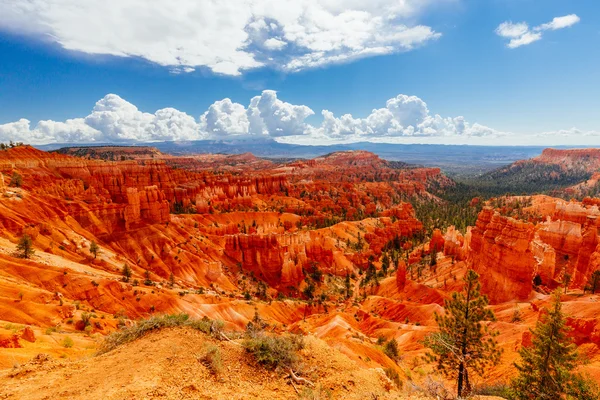 Park Narodowy Bryce Canyon, Utah, usa — Zdjęcie stockowe