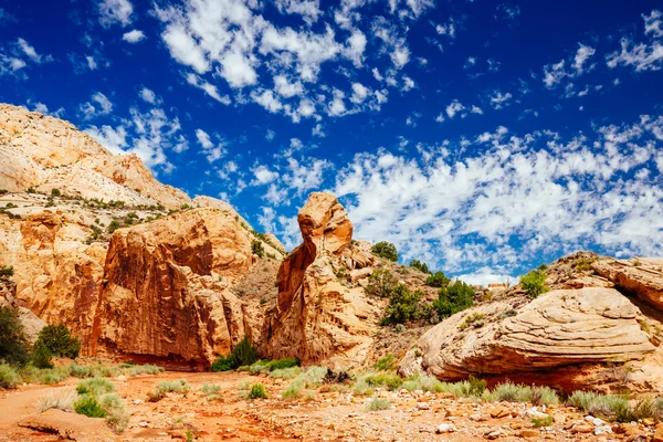 Grand mytí stezka, kapitál Reef národní Park, Utah, Usa — Stock fotografie