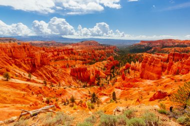 Bryce Canyon Ulusal Parkı, Utah, ABD