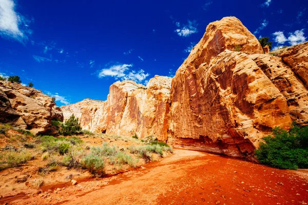 Grand mytí stezka, kapitál Reef národní Park, Utah, Usa — Stock fotografie