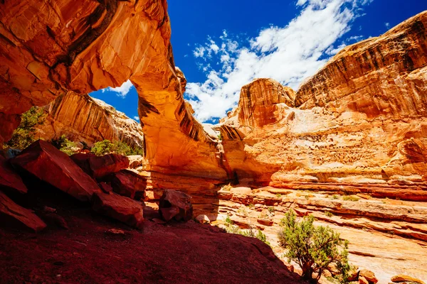 Přírodní oblouk, most Hickman, Capitol Reef národní Park, Utah, — Stock fotografie