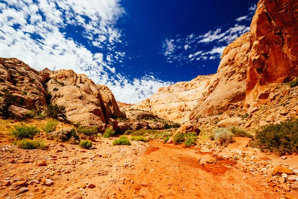 Grand yıkama iz, sermaye resif Milli Parkı, Utah, Amerika